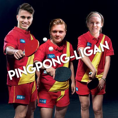 ./images/lagbilder2018/Pingpong-ligan.jpg
