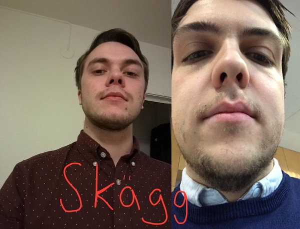 ./images/lagbilder2018/Skägg.jpg
