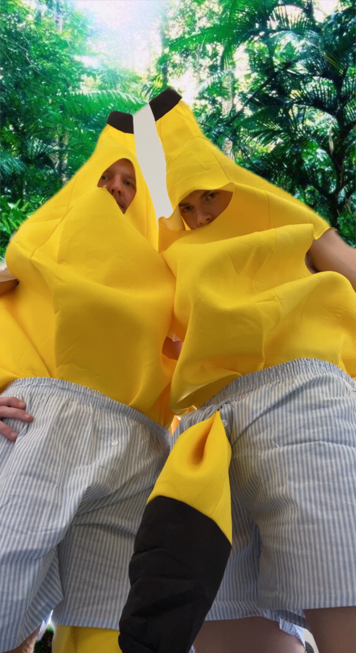 ./images/lagbilder2022/BananerUtanPyjamas.jpeg
