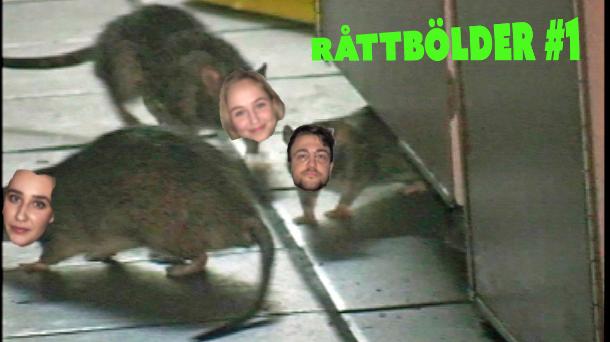 ./images/lagbilder2022/Råttbölder1.jpg