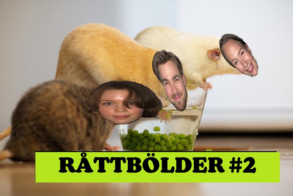 ./images/lagbilder2022/Råttbölder2.jpeg