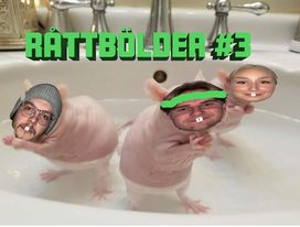./images/lagbilder2022/Råttbölder3.jpg