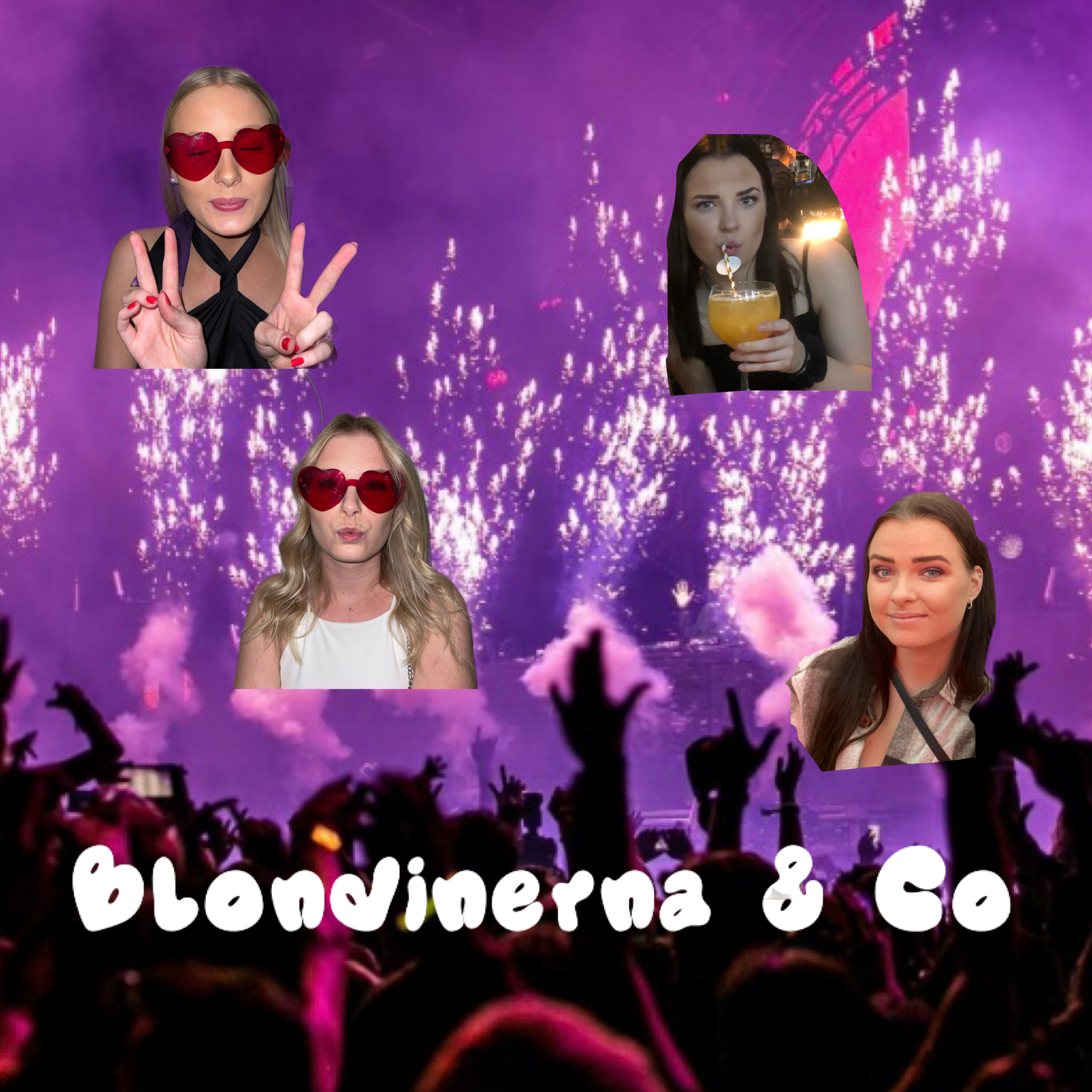 ./images/lagbilder2023/Blondinerna&Co.jpeg